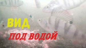 Рыбалка изнутри, клёв который мы не видим.