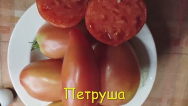 Каталог томатов на 2026 год. Часть 5. г. Киров  т. 89229284031