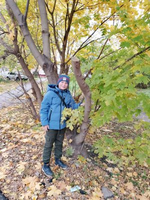 Рисуем Новогодний Пейзаж