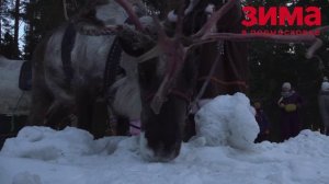 В Истре готовятся к зиме: шесть парков, новые локации и сотни мероприятий!