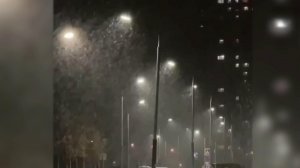 Сильный снегопад накрыл столичный регион.