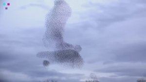 Удивительные природные явления.