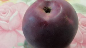 Почему не опасаюсь срезать черенки для прививки зимой