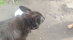 Херсонщина 23 ноября 2025 года