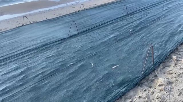 ВЛОГ Похоже будет НОВЫЙ ВЫБРОС МАЗУТА / Анапа готовится к шторму / расстелены сетки на пляже смотреть онлайн