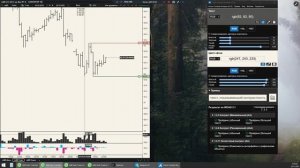 Настройка рабочего места терминала. Научный подход, чтобы ваши глаза говорили вам спасибо.