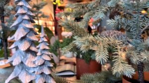 30  лет свадьбы