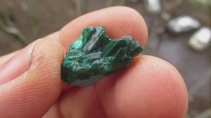 Диопатаз купить