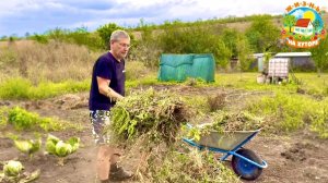 Закончили огородный сезон и уехали в Ростов на Дону