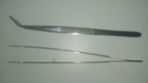 Пинцет стоматологический, изогнутый