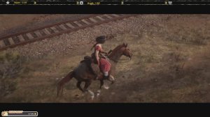 ✸Red Dead Online✸ 426 уровень