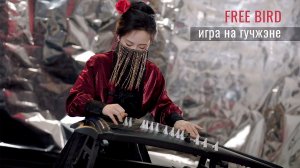 «Free Bird». Игра на гучжэне