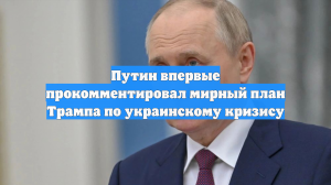 Путин впервые прокомментировал мирный план Трампа по украинскому кризису