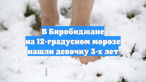 В Биробиджане на 12-градусном морозе нашли девочку 3-х лет