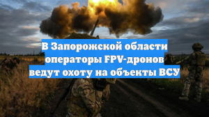 В Запорожской области операторы FPV-дронов ведут охоту на объекты ВСУ