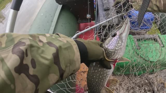 🎣ПЕРВЫЙ СЕНТЯБРЬ РАЗВЕДКА 2025🎣fishing#туризм#природа#ловля#рыбалка#щука#ловлящуки#ночевка#Чулым#