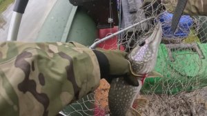 🎣ПЕРВЫЙ СЕНТЯБРЬ РАЗВЕДКА 2025🎣fishing#туризм#природа#ловля#рыбалка#щука#ловлящуки#ночевка#Чулым#