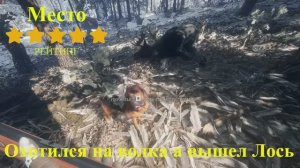 Реалистичный симулятор охоты. Хотел взять Волка а вышел Лось пришлось бить. Hunter Call of the Wild