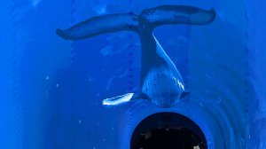 Амфитеатр воды и кроличья нора в парке Краснодар