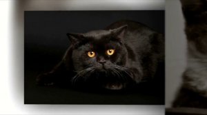 Moments Of Life 249 (Spacesynth Mix)