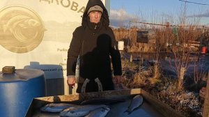 VID_20251123_160619_871