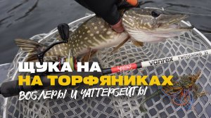 Щука на Спиннинг на Торфяниках Воблеры для Мелководья и Чаттербейты