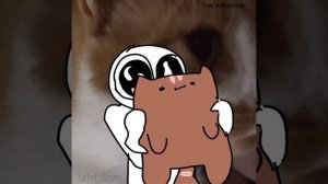 A MNГOBNTO MEOW MEOW .