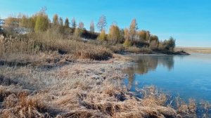 Наша дача. Октябрь 2025 год