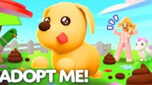 ОБНОВА ЗАГОДА ДЛЯ ПЕТОВ В АДОПТ МИ!