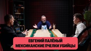 Евгений Паленый - Жука. Мексиканские пчёлки-убийцы