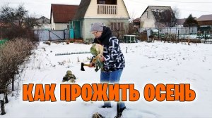 Пора снимать урожай капусты! :)