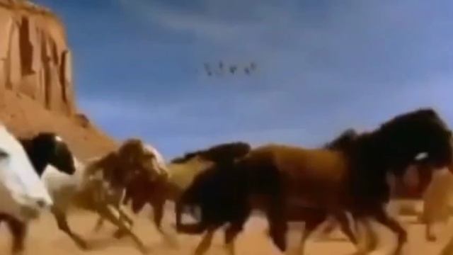 Поле Полюшка, музыка на Турецком смотреть онлайн