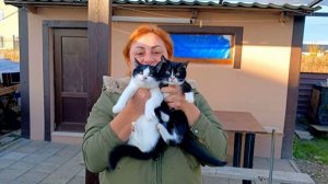 Наши Котик Подросли /  Немного Моих Будней /