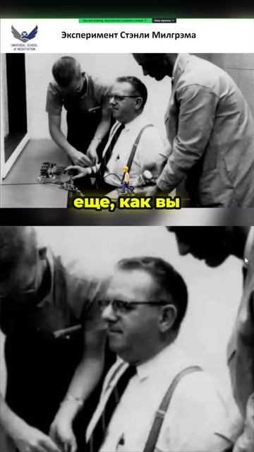 65% людей готовы убить незнакомца. Шокирующие результаты эксперимента