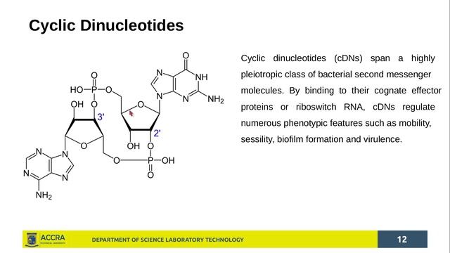 SCT 106 Biochemistry 1: Nucleic Acids