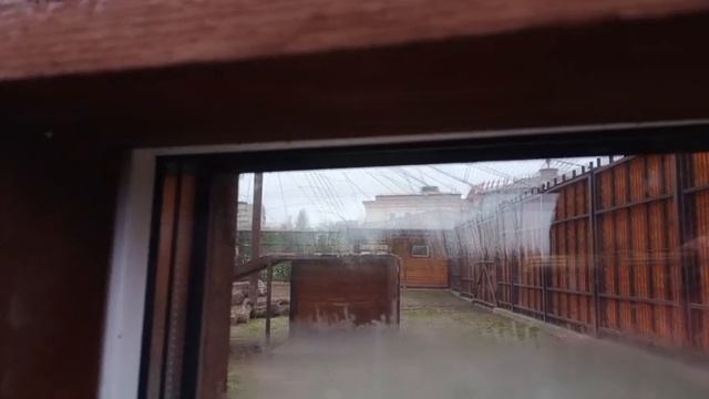 FZSX6353 23.11.2025 Шархан 23.11.2025 Видео от Ивана