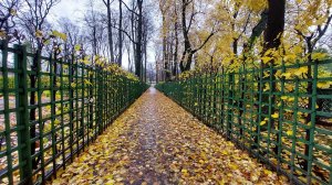 Осенний Петербург ♥️ Идем в Летний сад (правда, сейчас он осенний). Наслаждаемся и немного грустим