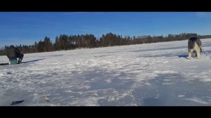 Релакс  рыбалка Март 2024 г.