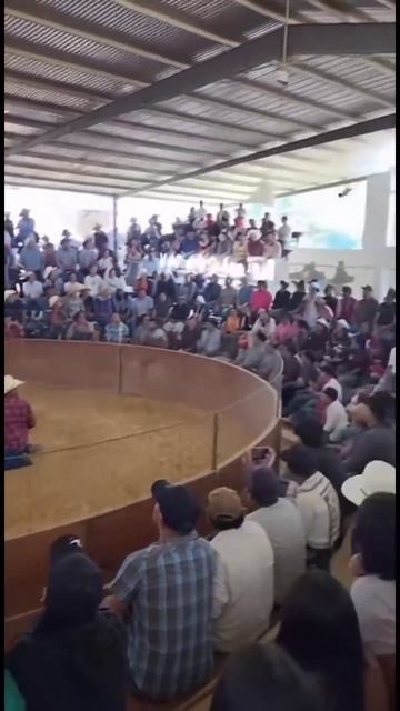 Пакеда неудачники