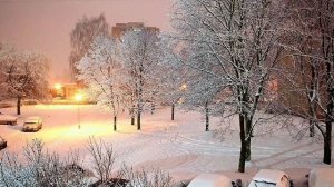 В Новосибирске идёт снег ❄️...