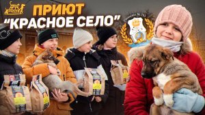 Детская миссия добра! Школьники 5А (Гимназия 293) с кормами Buddy Dinner спасают хвостиков!