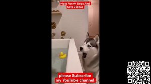 ЗБОРНИК ВИДЕО