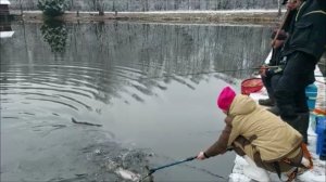 Утро на нижнем водоёме. Клёвое место, Лосиный остров.