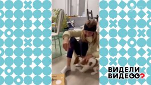 Софья Андреева и спаниель Марио. Видели видео? Фрагмент выпуска от 23.11.2025