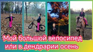 Мой второй велосипед или в дендрарии осень