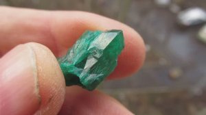 Диопатаз купить