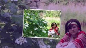 Нина Кирсо - Цветет калина