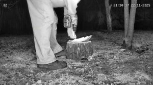 Добавка ужина на пенек