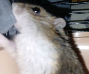 Вам не понравился видос