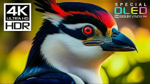 Невероятные и самые красивые места в мире. Путешествие в сказочный мир